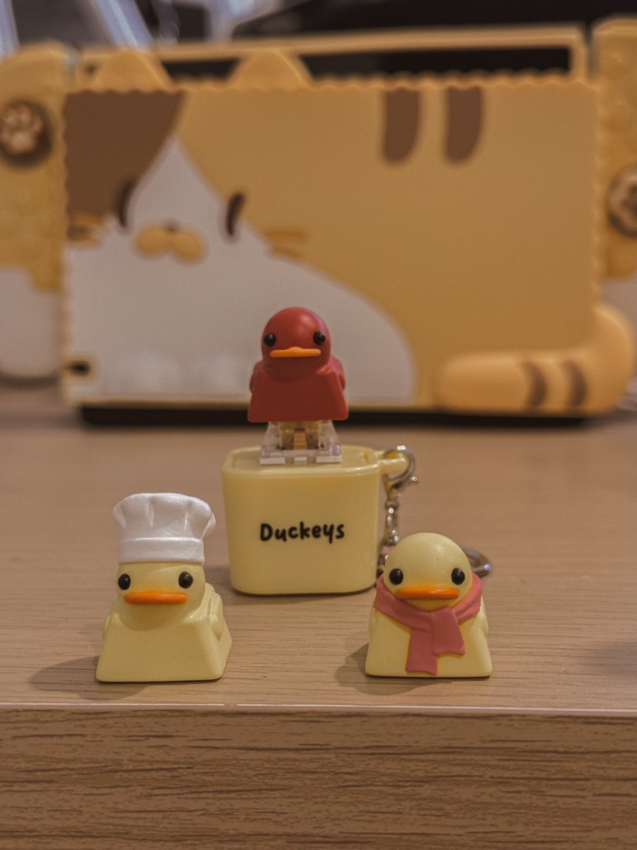 𝐍𝐞𝐤𝐨 𝑩𝒓𝒆𝒂𝒅 🐱🥐 tweet media