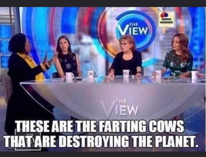 J Holmes tweet media