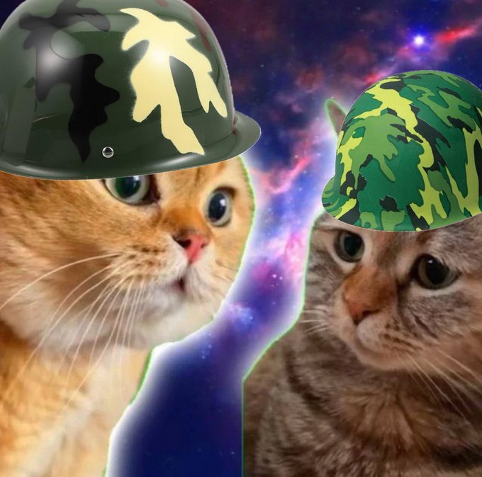 Battle your way to progress... or at least stumble forward dramatically!
$Taca #MemeCoinSeason