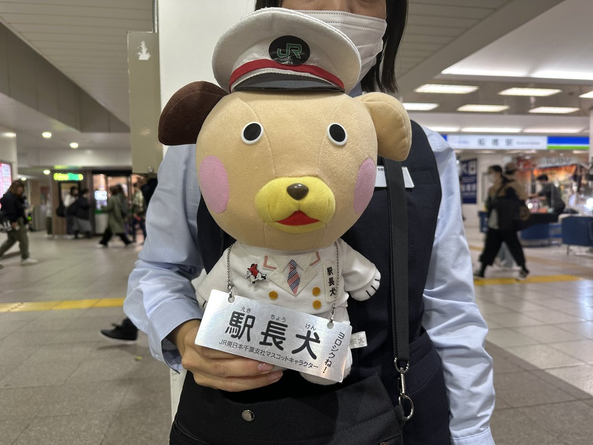 激レア】 JR東日本 千葉社 駅長犬 ぬいぐるみ 激レア美品非売品JR東日本
