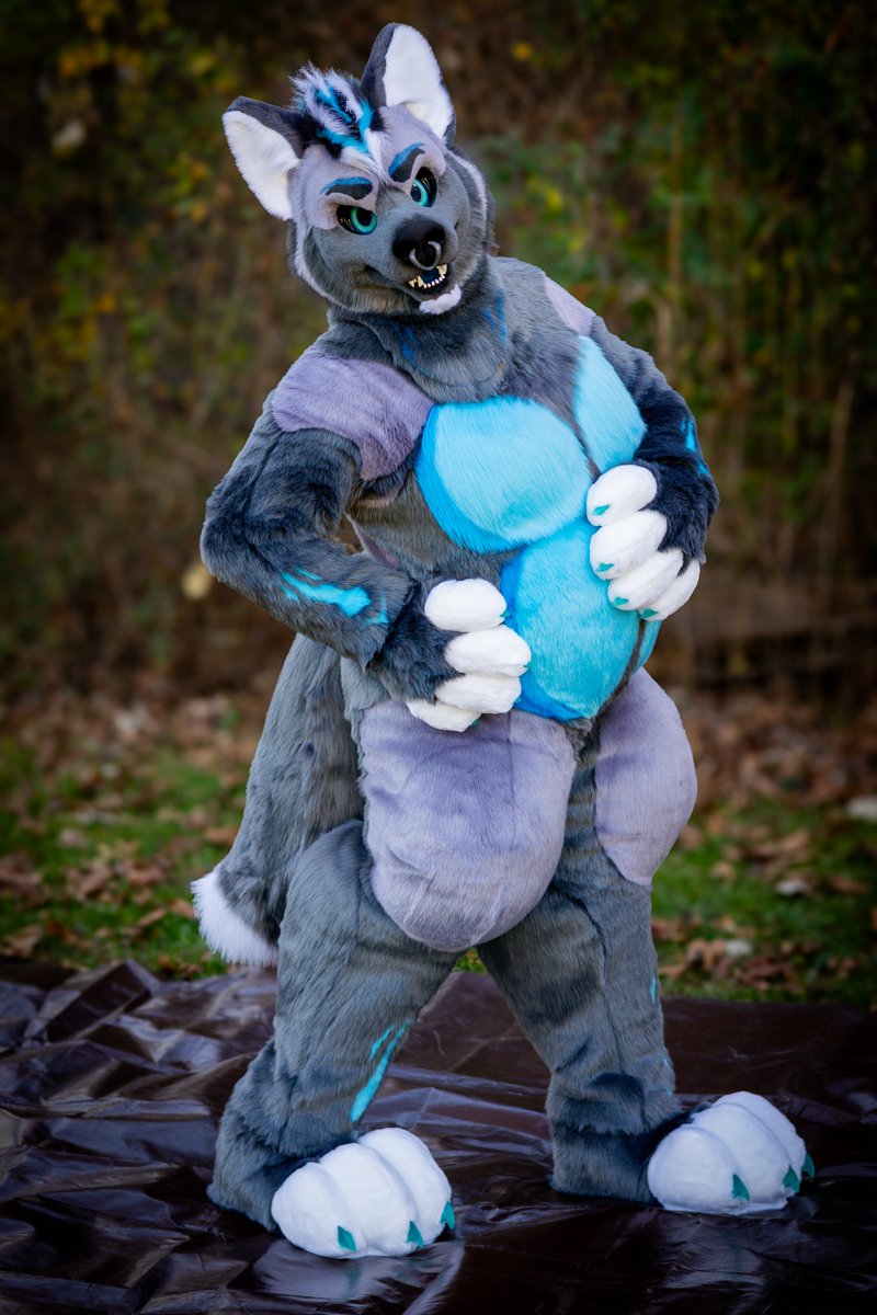 LOOK AT THIS CHONKY FOX!!  A little added chest and belly padding never hurts :3

Everyone welcome <a href="/Eclipse_Warnock/">Eclipse Warnock</a> to the pack!!