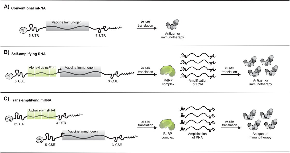 Jikkyleaks's tweet image. This is what it's all about. They only need to produce a fraction of mRNA than with the #poojabs because they include the RdRp that turns YOU into the pseudovirus factory with no off switch. 

It also confirms that the "-80⁰C freezer" story was a fraud. This stuff can be