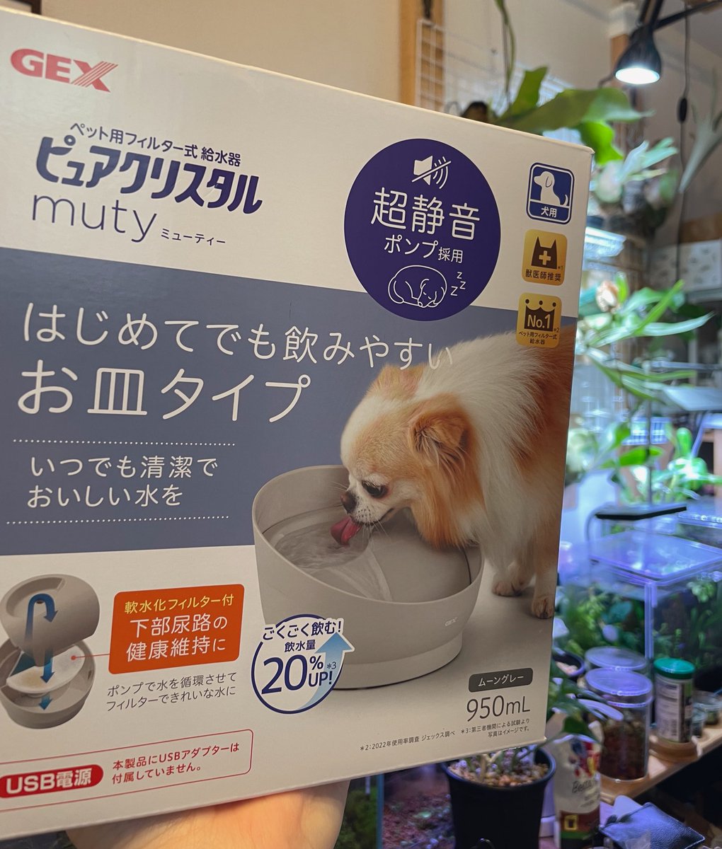 neeeegoto's tweet photo. @gex_dogcat ハロウィンのキャンペーンでもらったよ🎃🐕‍🦺犬ちゃんの吸水器！！ありがとうございます！！GEX製品にはいつもアクアリウムでお世話になっております！ https://t.co/Qu4aBGOcD5