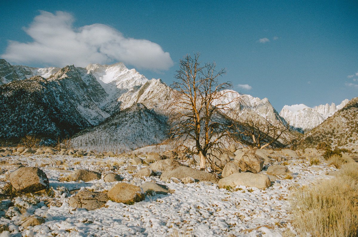 johncwingfield's tweet image. Snowy mornings in the Sierras