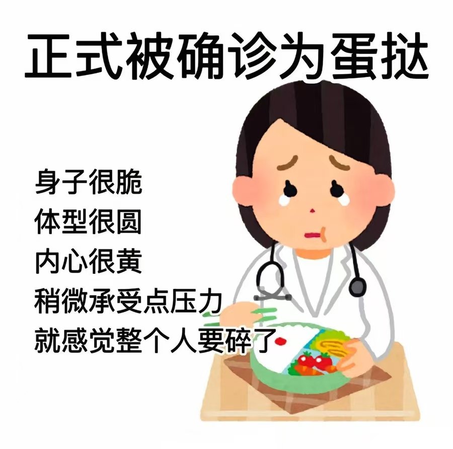 辰溪 tweet media