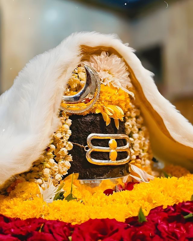 हर हर महादेव जी 🙏 

जय हो भोलेनाथ 🙏