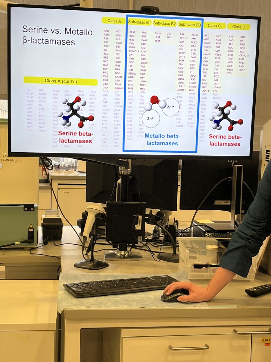 As we approach World Antimicrobial Awareness Week, at today’s micro plate rounds we learned about beta-lactamases—the enzymes driving beta-lactam resistance. A timely discussion on the mechanisms fueling AMR. #WAAW #AntimicrobialResistance #InfectiousDiseases <a href="/PathologyBurns/">Bethany Burns</a>