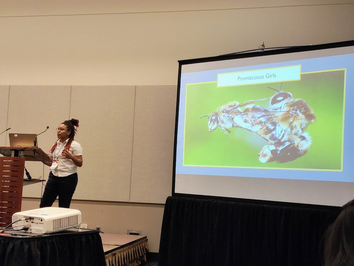 Added a niche Nelly Furtado reference in my #EntSoc24 talk. Iykyk 👀🐝