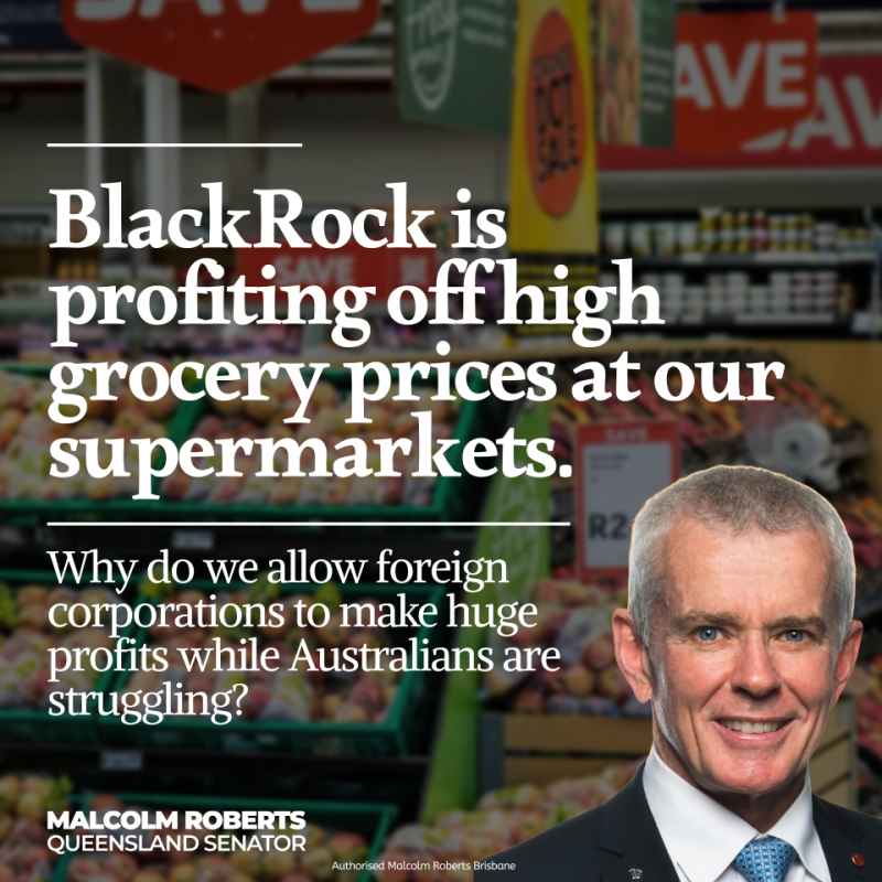 MRobertsQLD's tweet photo. We can get lower grocery prices by taking tough action against the foreign-owned multinationals that own Coles and Woolworths.

Australian food should be sold by Australian companies, not by rip-off international investment banks. https://t.co/IjZftC4xyR