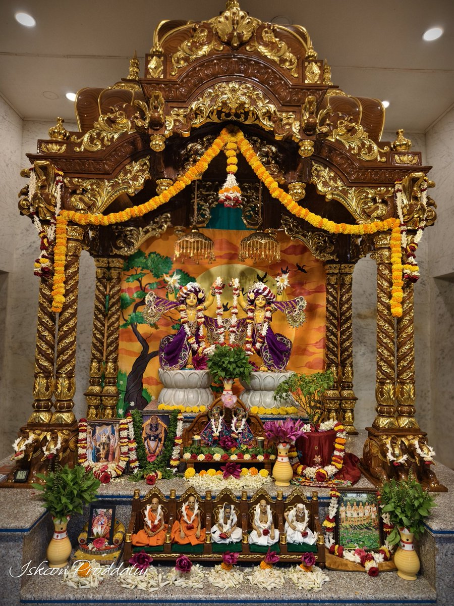 Today's darshan of Sri Sri Nitai Gaur Sundar <a href="/IskconProddatur/">Iskcon Proddatur</a>