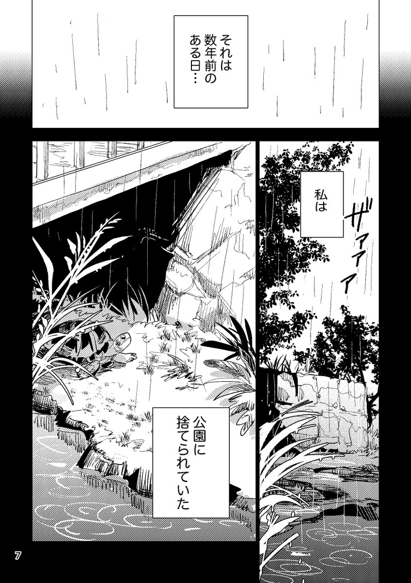 リクガメ漫画試し読み(2/4) 