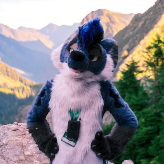 🐶✨️Star✨️🏳️🌈 (@staradder8) on Twitter photo Feeling on top of the world for #FursuitFriday 
#furryfandom Feeling on top of the world for #FursuitFriday 
#furryfandom