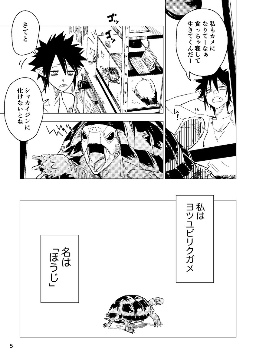 リクガメ漫画試し読み(1/4) 