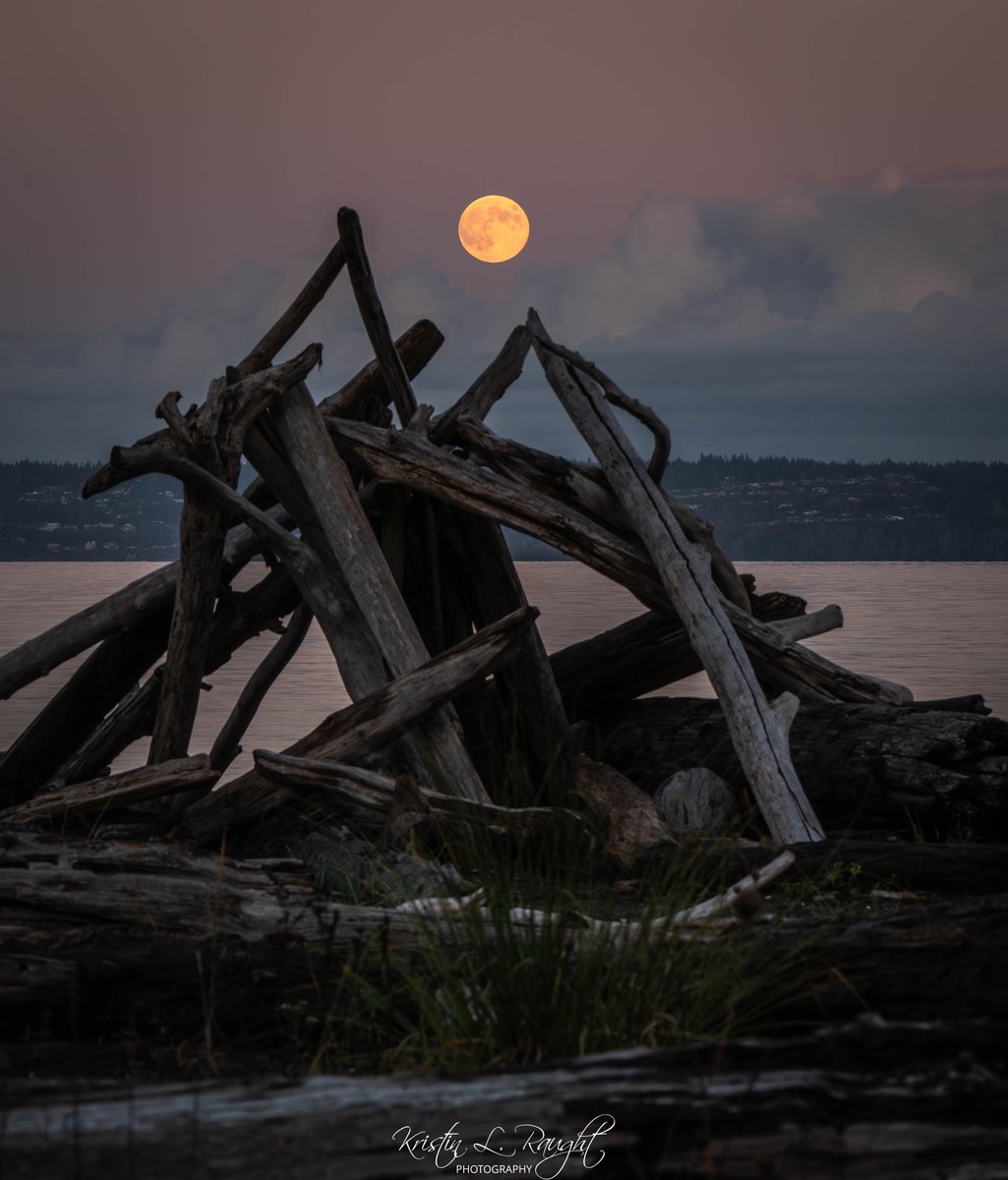 Kristin L. Raught Photography tweet media