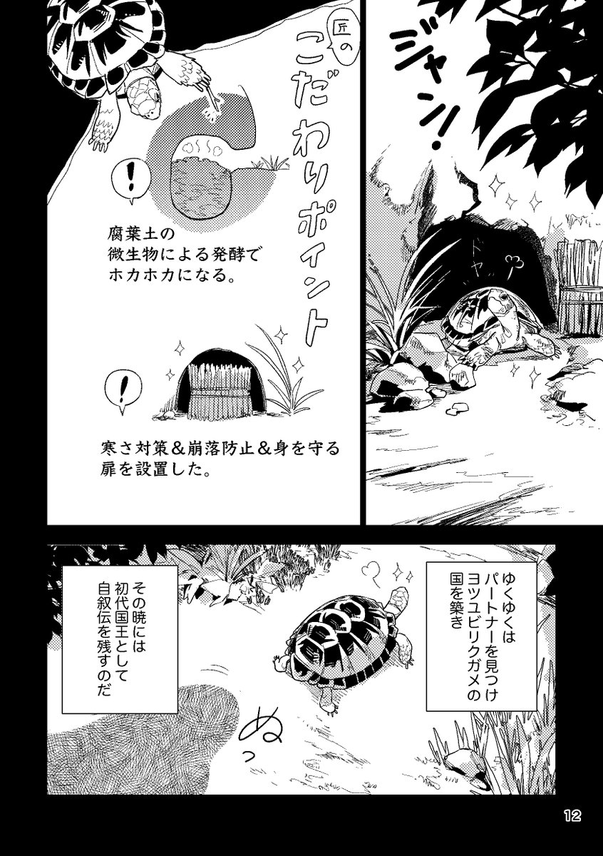 リクガメ漫画試し読み(3/4) 