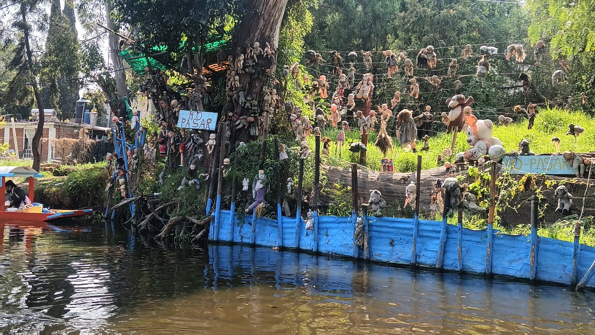 orbalest's tweet photo. Last few days of vacation visiting one of my favorite places here in Mexico city. #oaxaca #puebla #ciudaddemexico #tlacoyos #quesadillas #tacos #axolotl #xochimilco #twitch #streamer #beach #mexico #vtuber #vacationmode https://t.co/wfkyxqYOfa