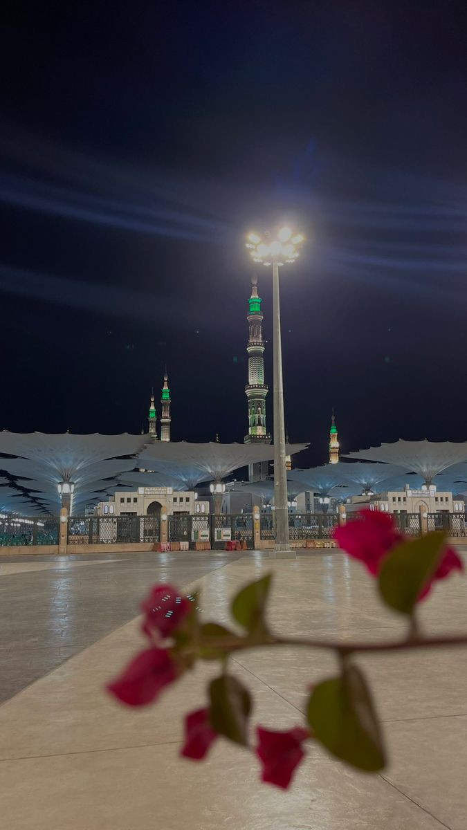 AtifQayyum_'s tweet photo. "Whoever prays the two cool prayers (Fajr and Asr) will enter Paradise."
– *Sahih Bukhari*
#Fajr #Asr #PathToParadise
Good Morning https://t.co/qRayfC6OQR