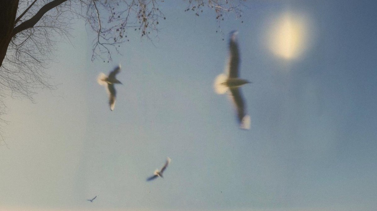 ๐๐๐ ๐๐๐๐ tweet media