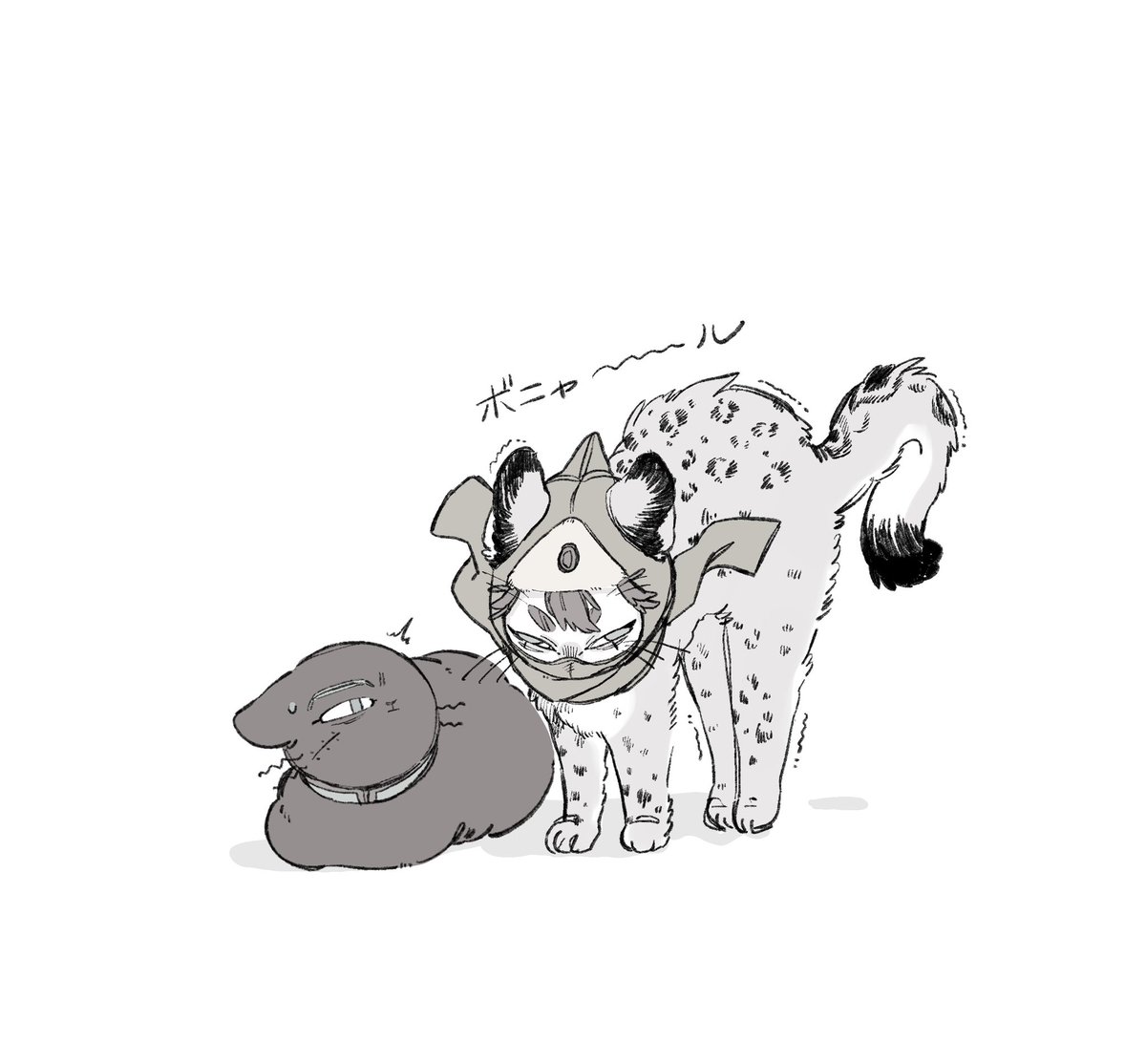 犬井 tweet media