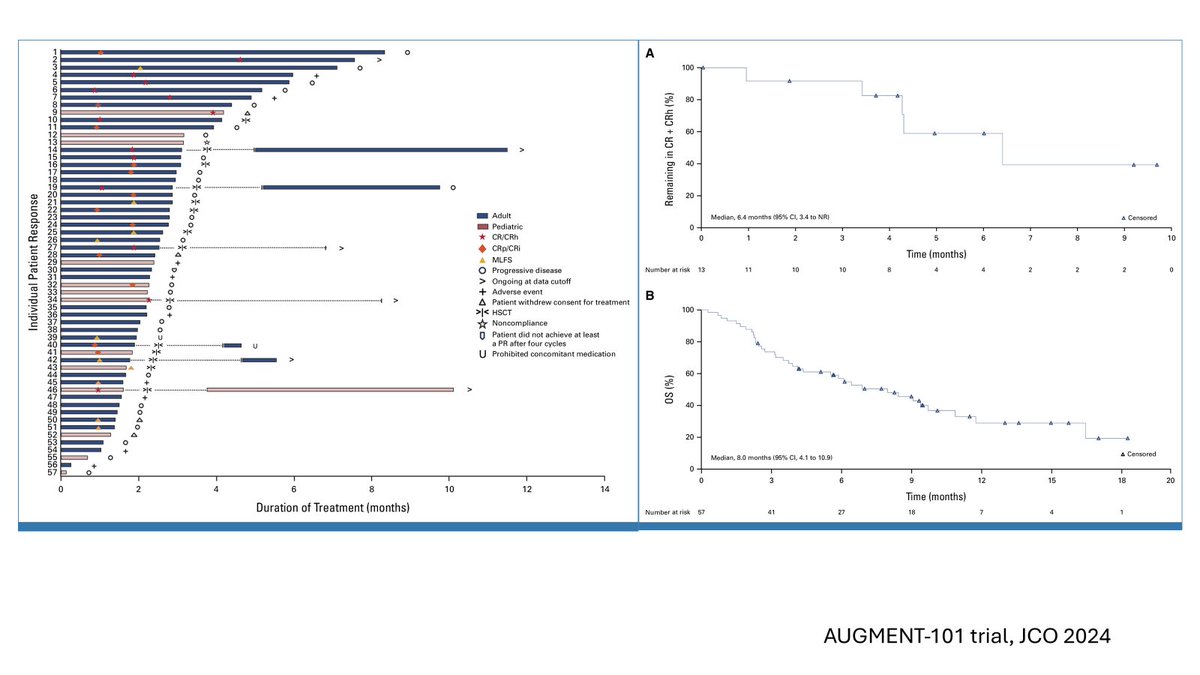 #Weekend_review on #menin_inhibitors for treatment of leukemia in light on Revumenib approval (AUGMENT-101) #leusm #AML 🧵

FDA approves revumenib for relapsed or refractory acute leukemia with a KMT2A translocation fda.gov/drugs/resource…