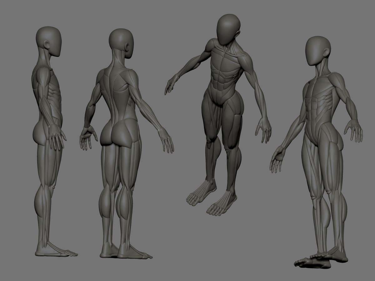 Been working on a new sculpt following "The Ultimate Female Anatomy Study" video series by <a href="/slipgatecentral/">Vadim B</a>! Learning a ton and only still on part 1/3. Still got a ways to go💪

youtu.be/3J4enVuSADI?si…