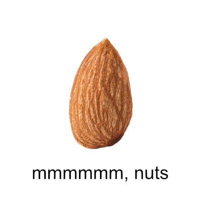 who likes some nuts? $bitnut