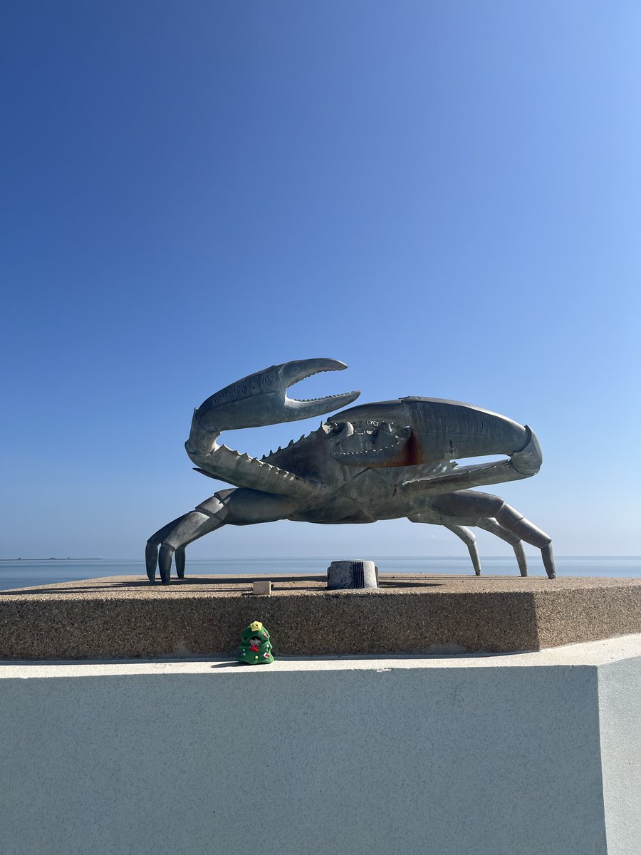 AOMJAIx189's tweet photo. 🌊🦀 https://t.co/RV8aO1j09y
