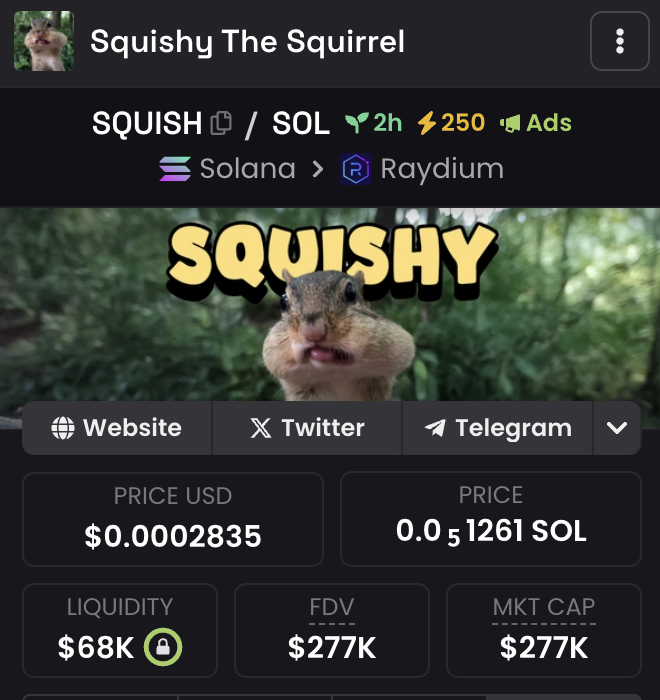 Squishy The Squirrel tweet media