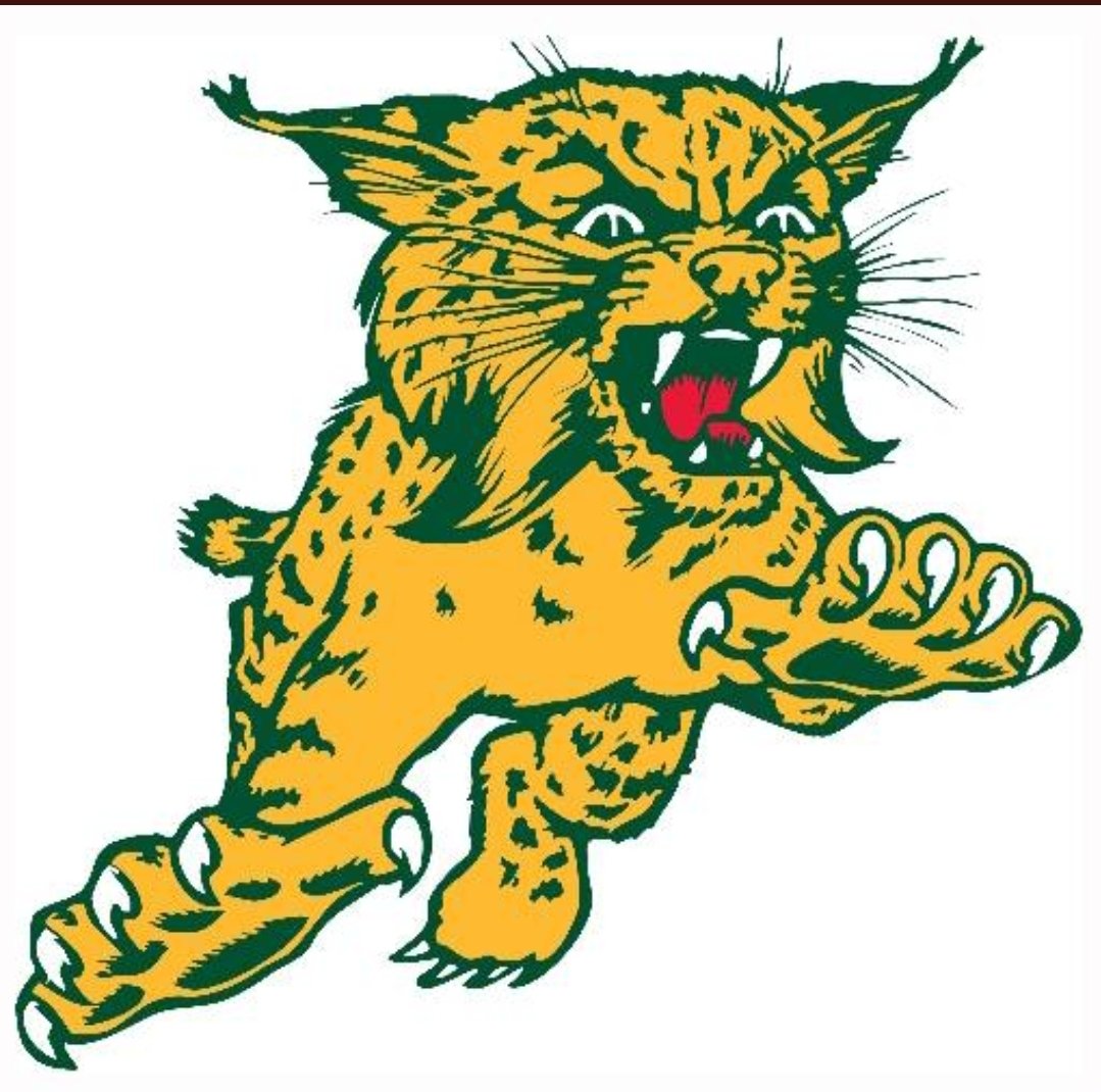 Edgar Wildcats become the first program to win 100 WIAA Football Playoff games. #wisfb

They beat the Boyceville Bulldogs, 21-20, in Chippewa Falls and punched their ticket to the State Championship.