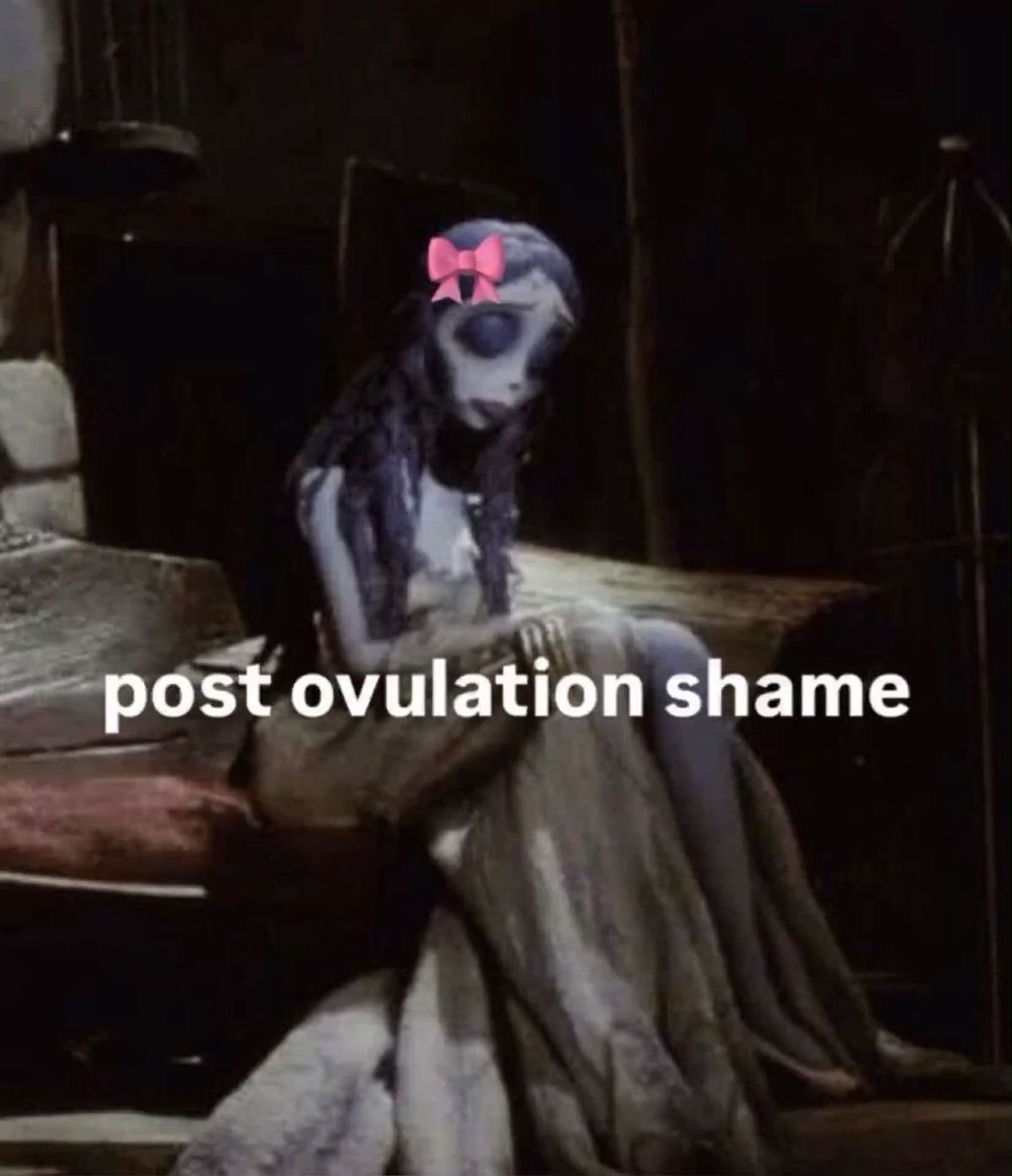 Content from stfu.libra
