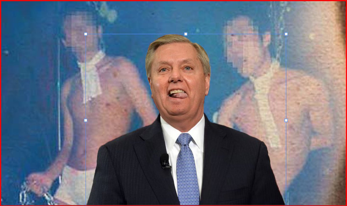 The U.S. National Institutes of Health spent $442,340 to study the behavior of male prostitutes in Vietnam. 

That won't happen again &amp; Lindsey Graham never reported back with his findings.