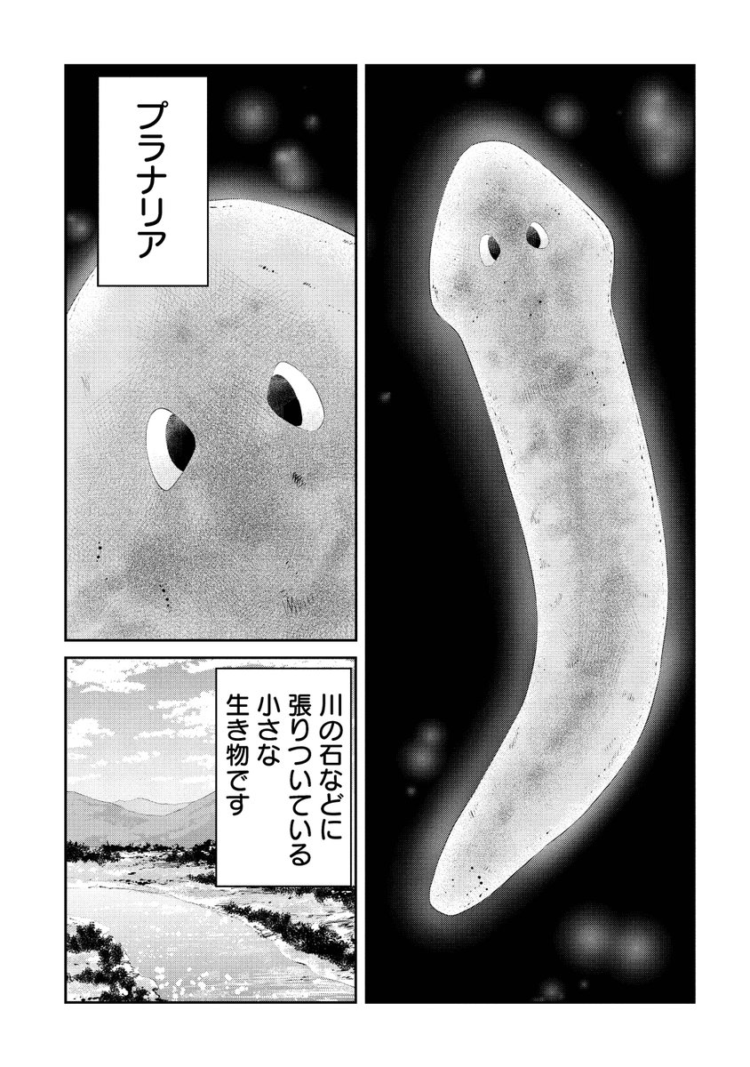 切っても刺しても殺せない、プラナリア人間の話
1
#漫画が読めるハッシュタグ
#マンガが読めるハッシュタグ