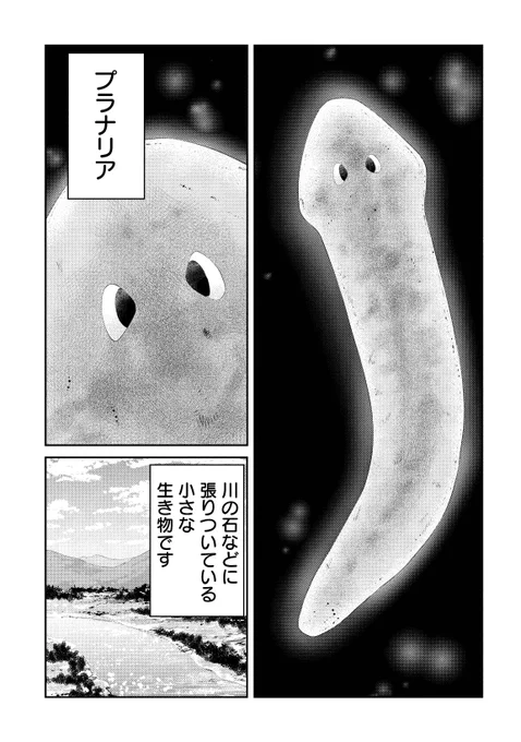 切っても刺しても殺せない、プラナリア人間の話
1

#漫画が読めるハッシュタグ 
#マンガが読めるハッシュタグ 