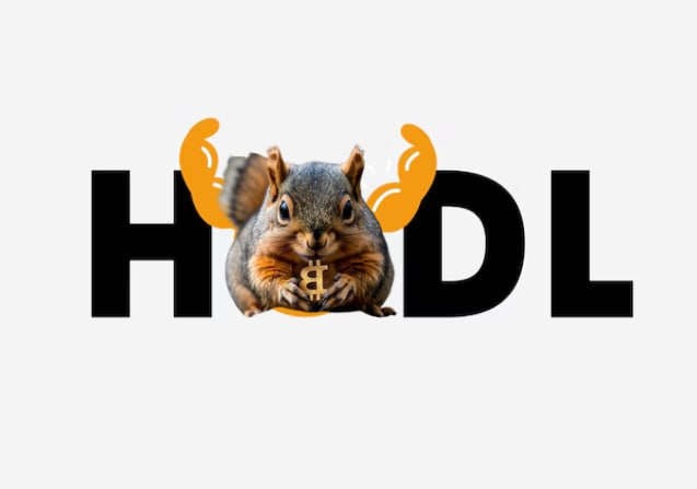 HODL $Bitnut
