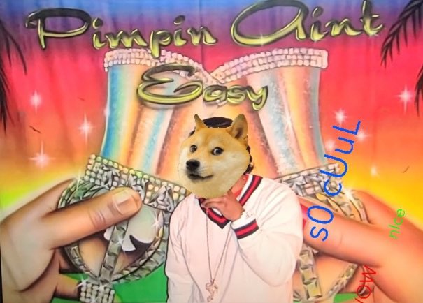 DogeLieutenant's tweet photo. Pimpin ain’t easy #DogecoinRise #drudown https://t.co/CHVnCPWBfN