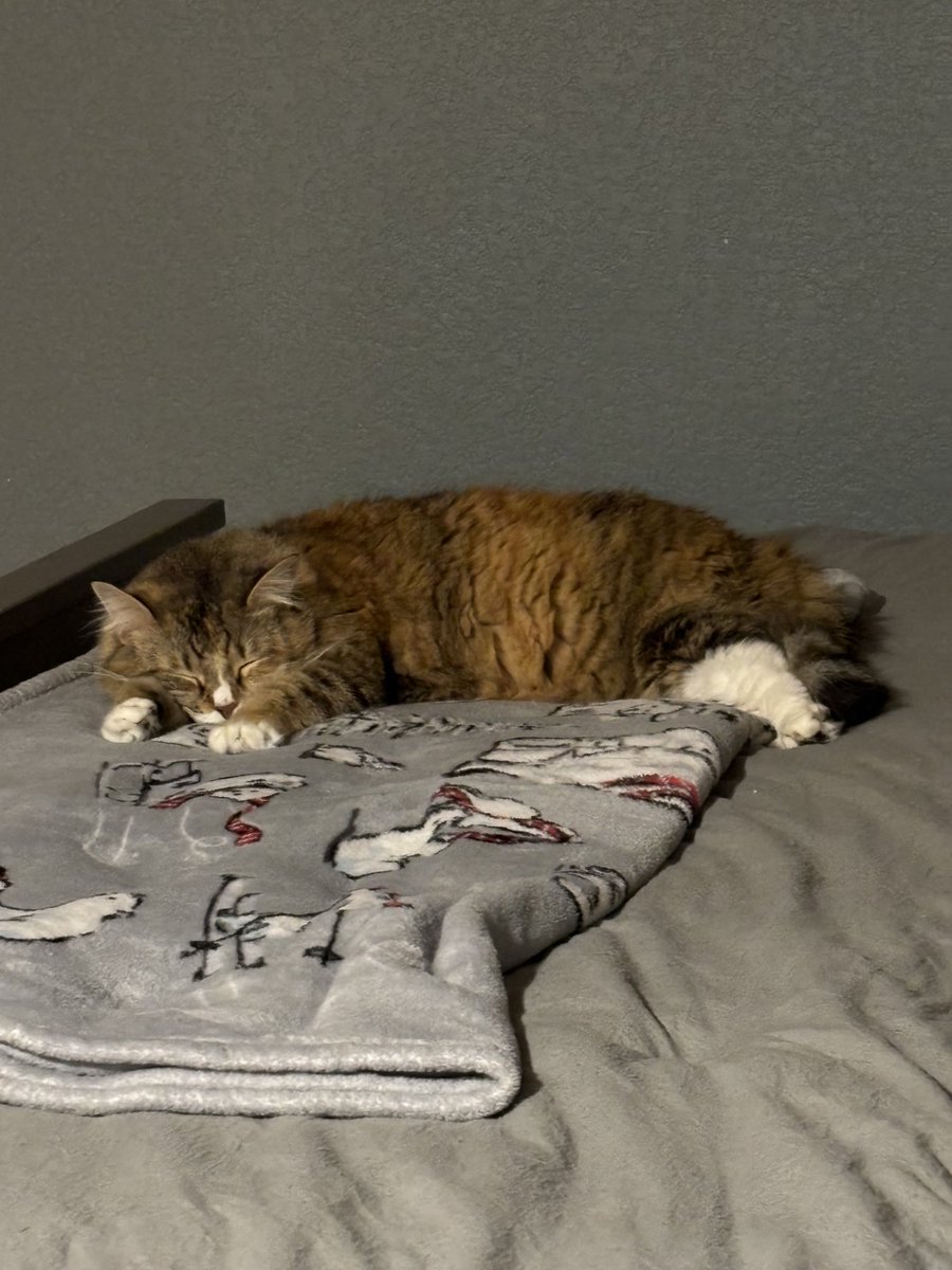 HumbledFollower (is on 🦋 too) tweet media