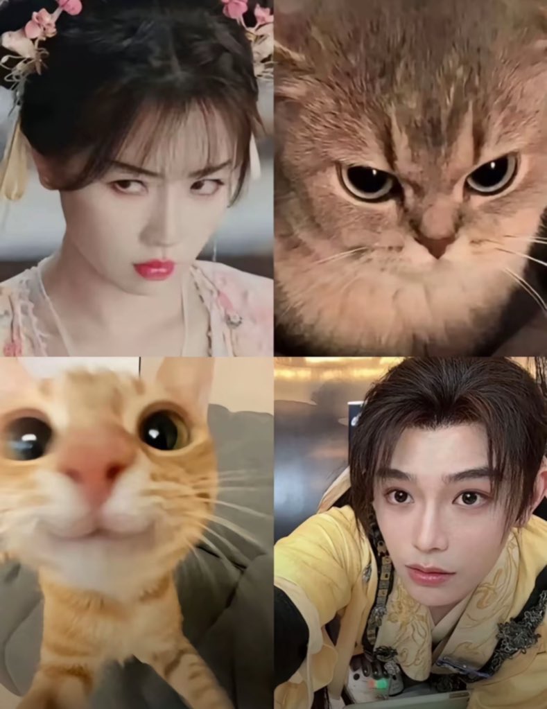 afterrnoont's tweet image. 🪷 Ziqi and Miaomiao as cats 🐱
#LoveGameInEasternFantasy