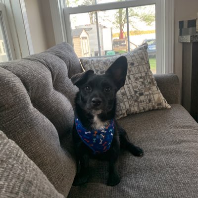 LisaLisasteele's tweet photo. #NewProfilePic https://t.co/nG72cRyoRV