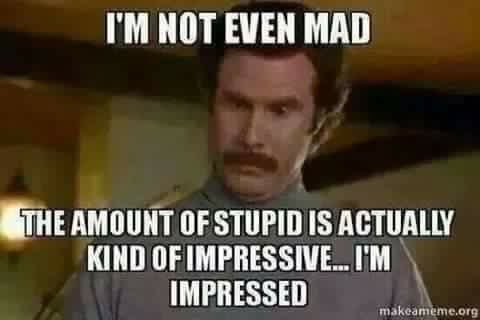 Marcello Rod tweet media