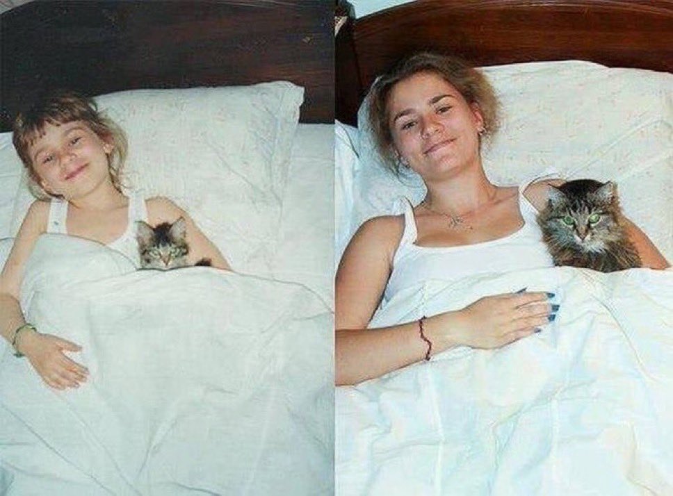 PunchingCat's tweet photo. growing up with your childhood pet <3 https://t.co/QlZHHCPSMI