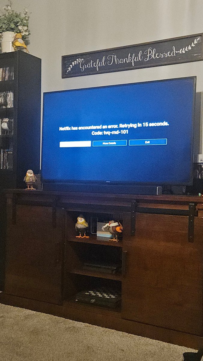 shellbelle21's tweet photo. Downfall of @netflix . https://t.co/KreQE2xDeG
