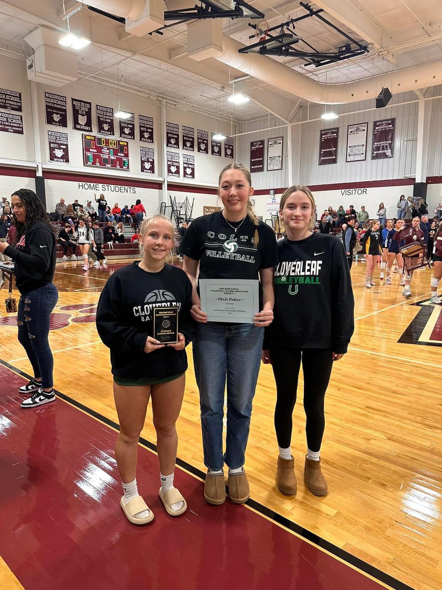 Cloverleaf Volleyball tweet media