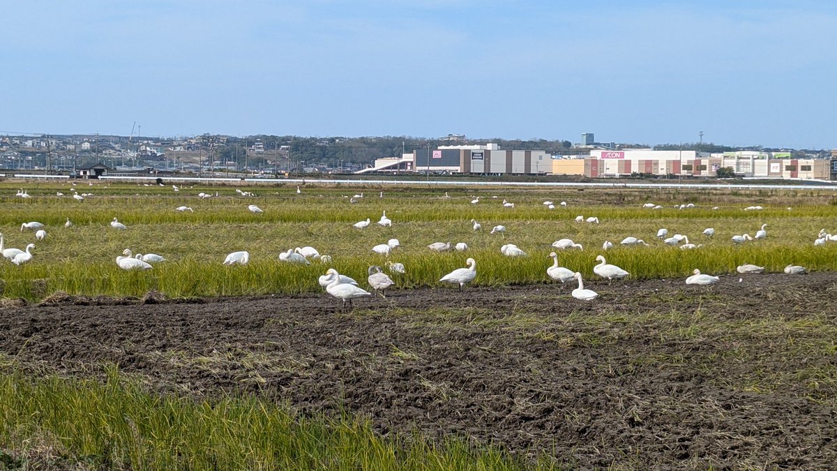 の〜んびりと☺️
