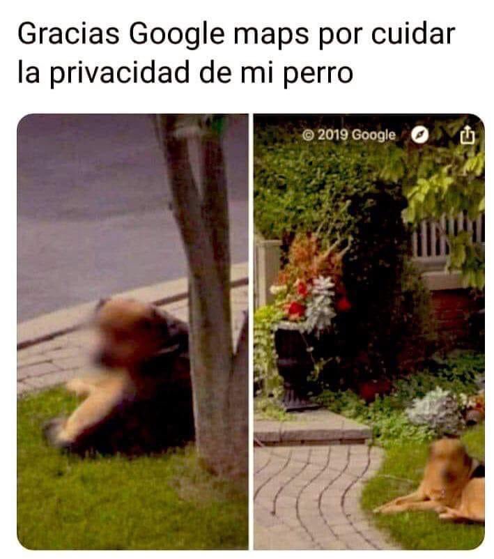 Memes Universidad Nacional tweet media