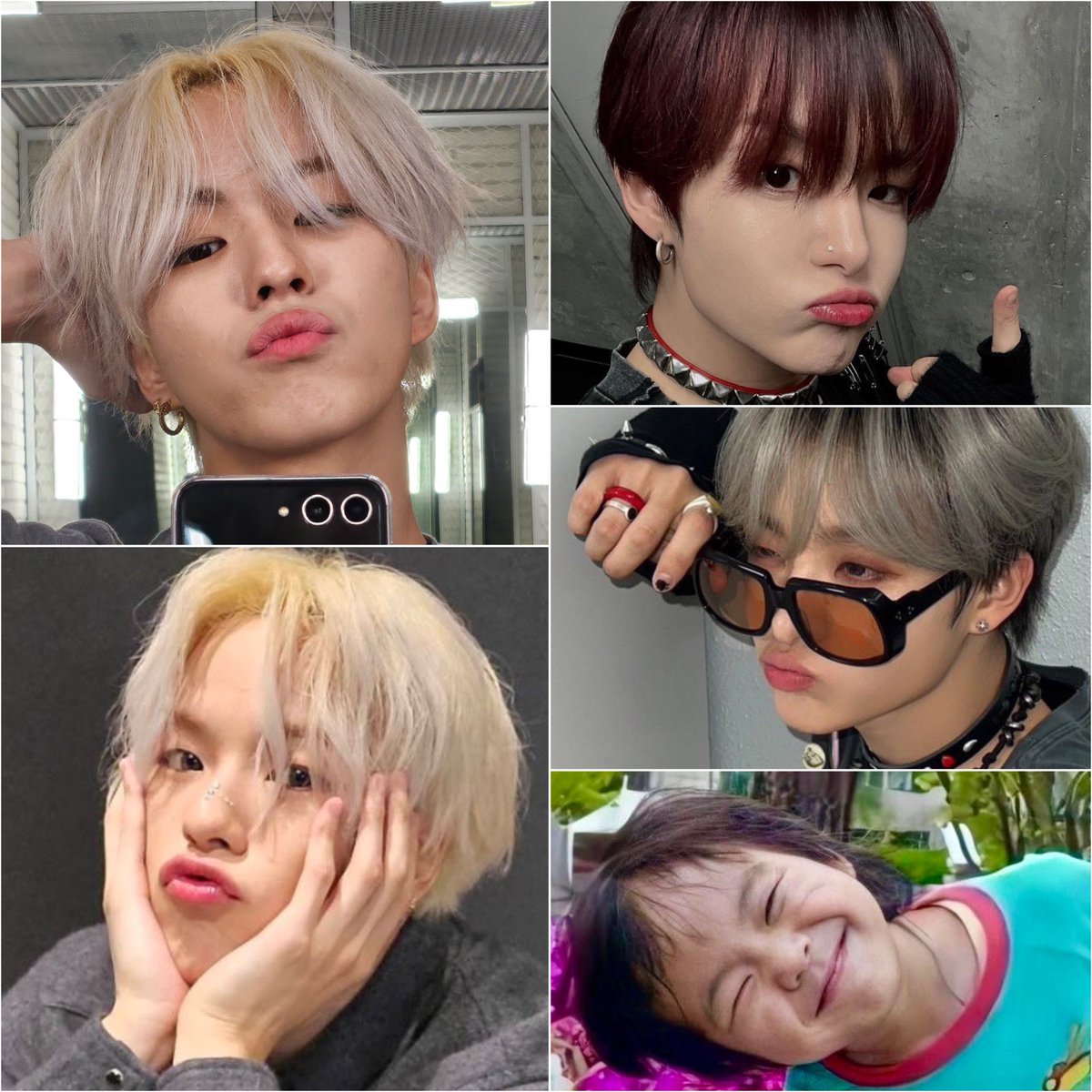 やこ🐬 tweet media