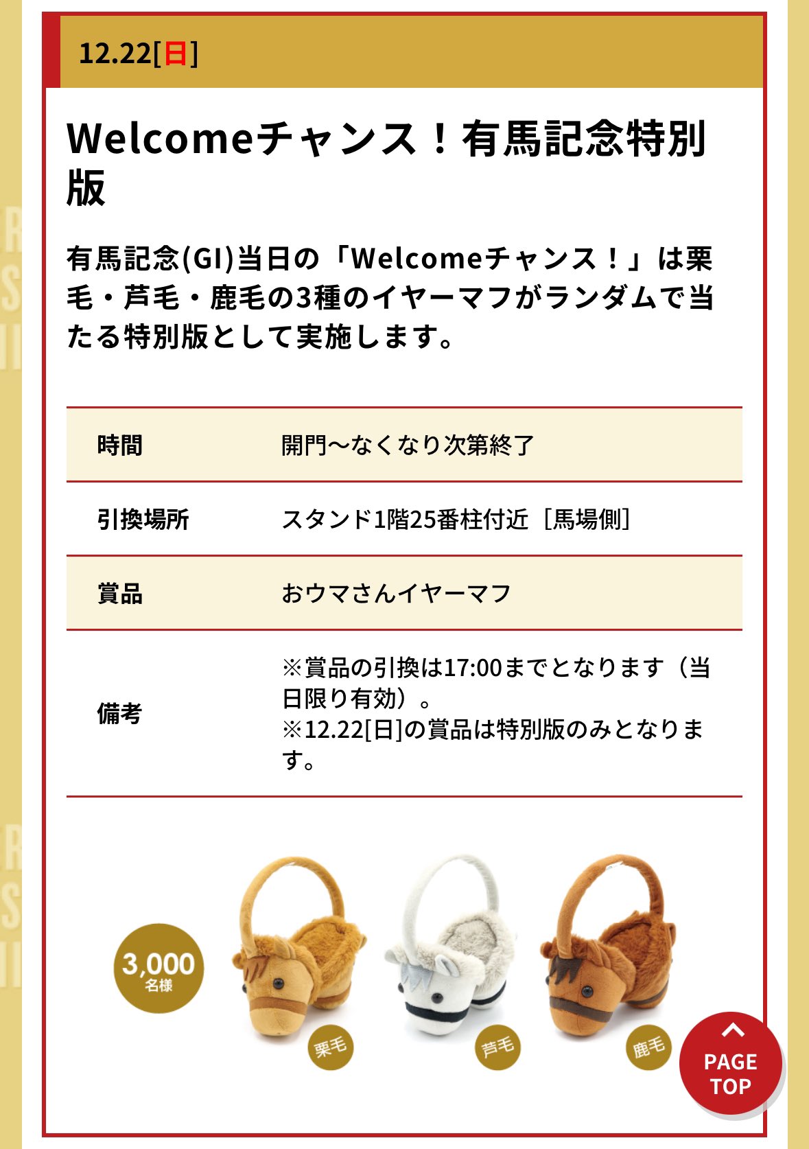 イヤーマフ有馬記念2024
