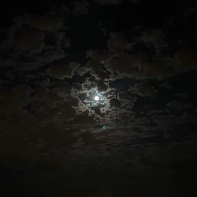 ambar_RodGuez's tweet photo. 15/11/2024 ultima Súper Luna Llena del año https://t.co/W1SX5J8ODk