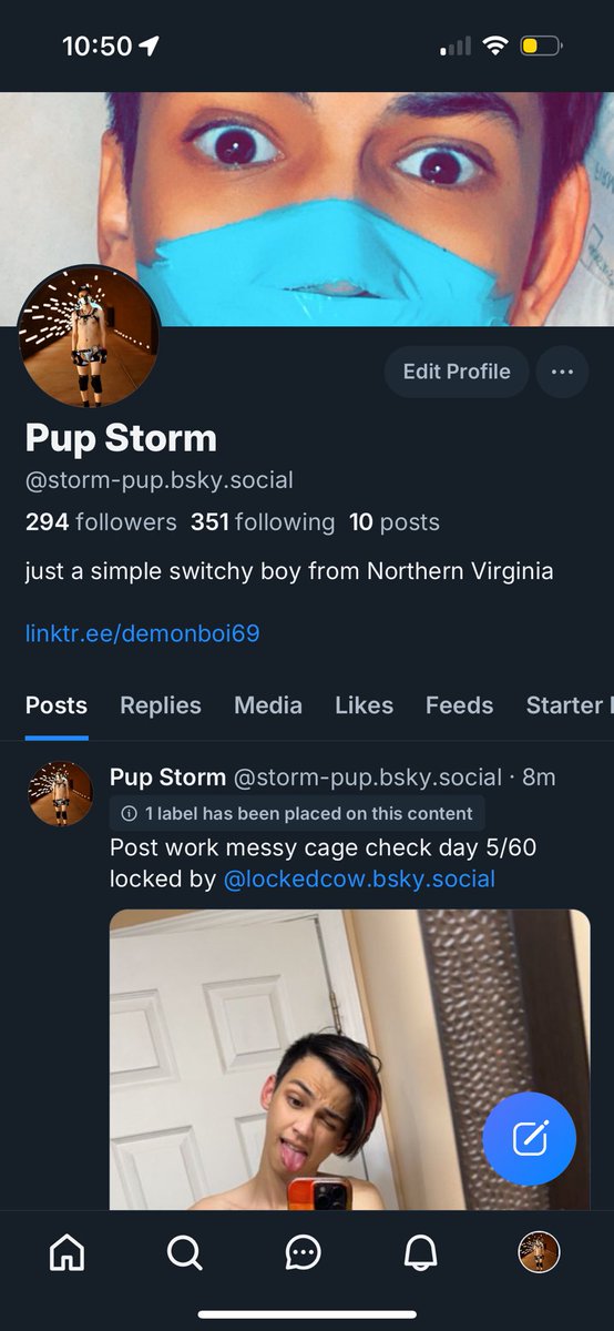 Pup Storm tweet media