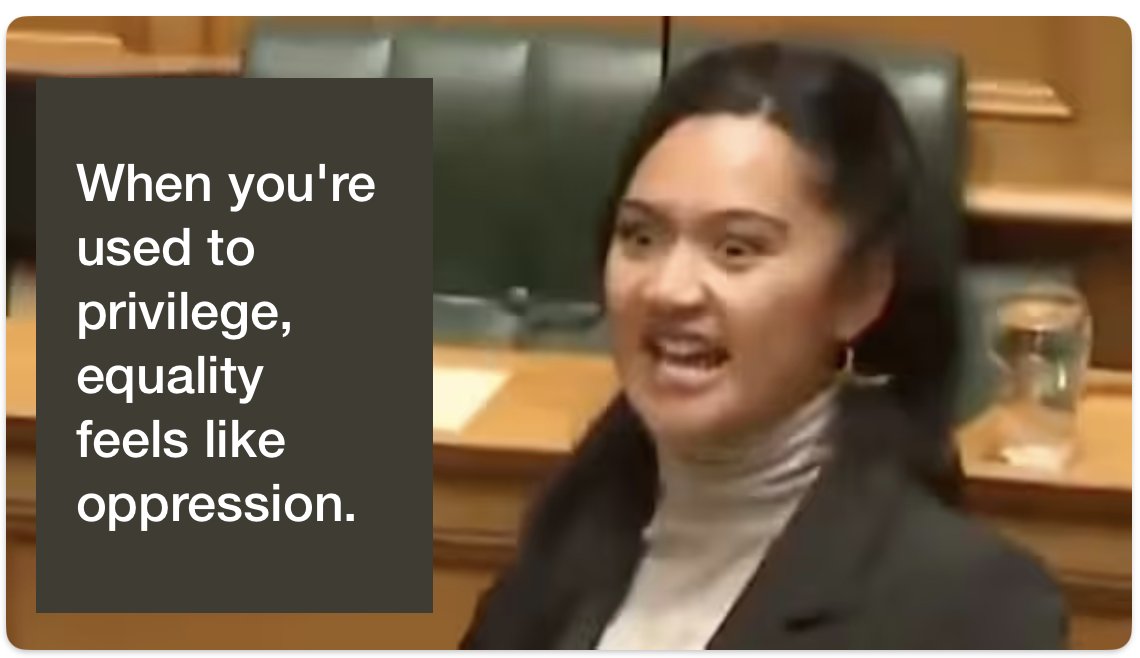 GutterTwits's tweet photo. #toitutetiriti #HikoiMoTeTiriti #Hikoi #nzpol #maorihaka  #Maori #MaoriEntitlement #treatyprinciplesbill #DavidSeymour #ACTNZ https://t.co/5qze1LiQ1N