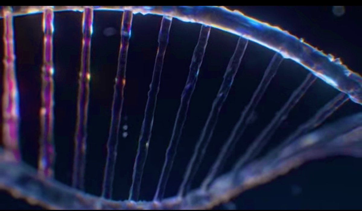 RVCL_research's tweet photo. Gene Therapy for RVCL: 2024 https://t.co/PPipUs1q1w via @YouTube https://t.co/vboZtd5qyI